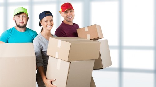 Final stage of a fair complaints procedure for removals